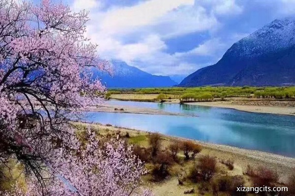 嘎啦桃花村
