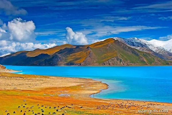 去西藏旅游大概要花多少錢