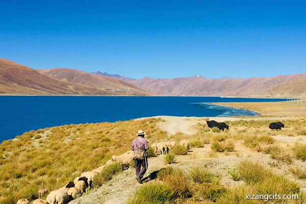 西藏旅游團要多少錢