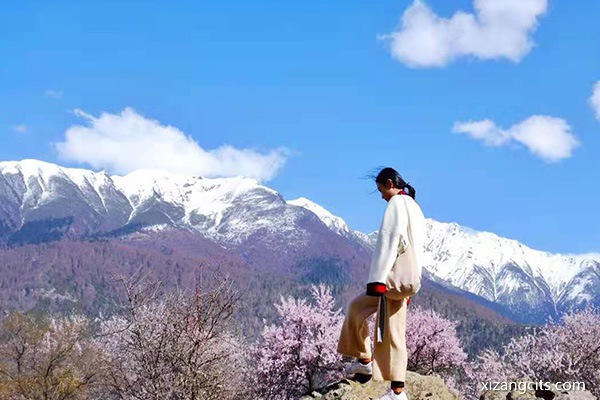 西藏品質(zhì)游麥朵服務怎么樣