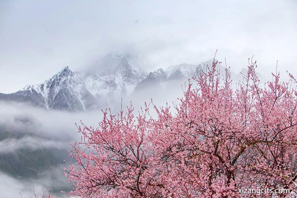 林芝旅游景點(diǎn)